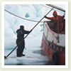 Sea Shepherd Conservation Society