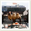 Wilco (the album)