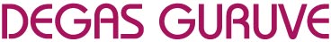 Degas Guruve web design and emarketing
