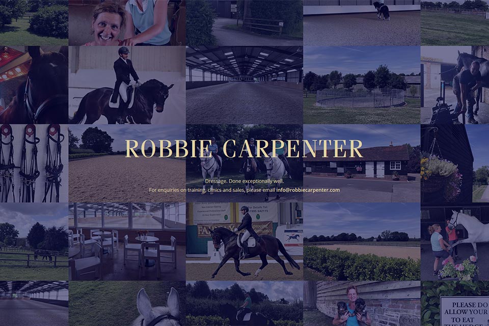 Robbie Carpenter website