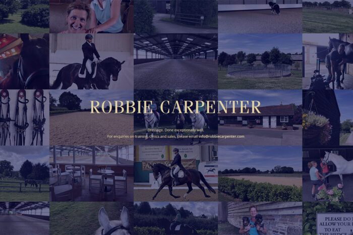 Robbie Carpenter website