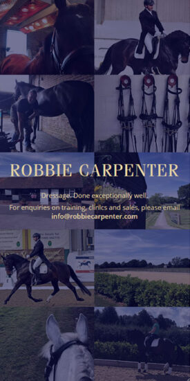 Robbie Carpenter website - mobile version